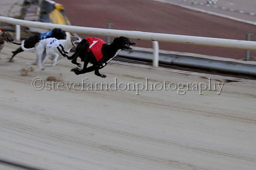 mayaction_357.JPG - (C)S.FARNDON