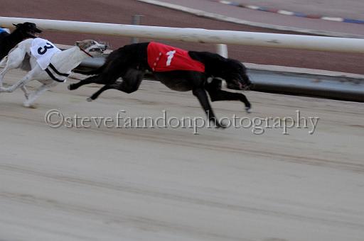 mayaction_358.JPG - (C)S.FARNDON