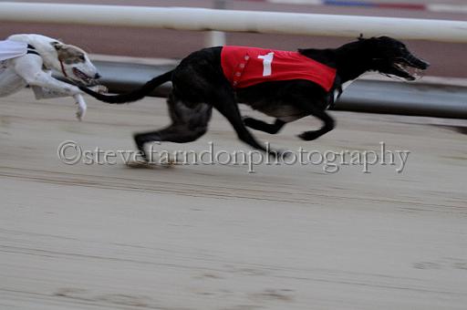 mayaction_359.JPG - (C)S.FARNDON