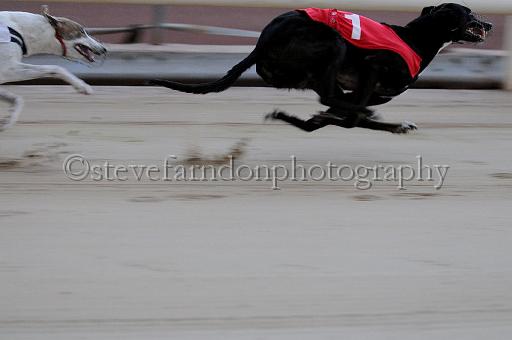mayaction_360.JPG - (C)S.FARNDON