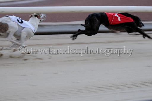 mayaction_361.JPG - (C)S.FARNDON