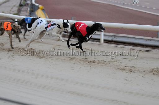 mayaction_364.JPG - (C)S.FARNDON