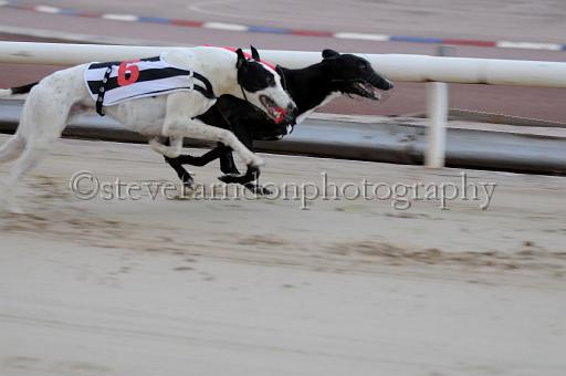 mayaction_366.JPG - (C)S.FARNDON