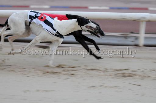 mayaction_367.JPG - (C)S.FARNDON