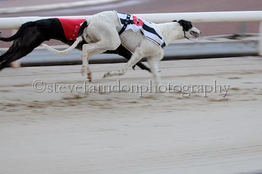 mayaction_369.JPG - (C)S.FARNDON