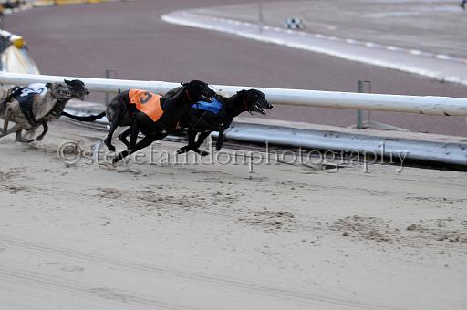 mayaction_371.JPG - (C)S.FARNDON