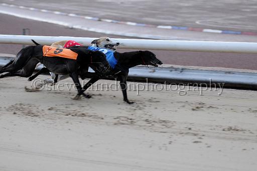 mayaction_372.JPG - (C)S.FARNDON