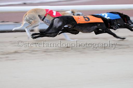 mayaction_375.JPG - (C)S.FARNDON