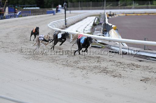 mayaction_376.JPG - (C)S.FARNDON
