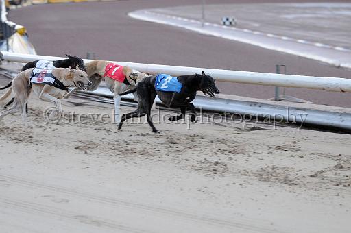 mayaction_378.JPG - (C)S.FARNDON