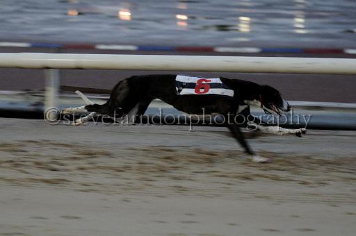 mayaction_408.JPG - (C)S.FARNDON
