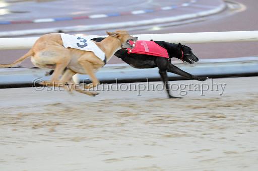 mayaction_414.JPG - (C)S.FARNDON