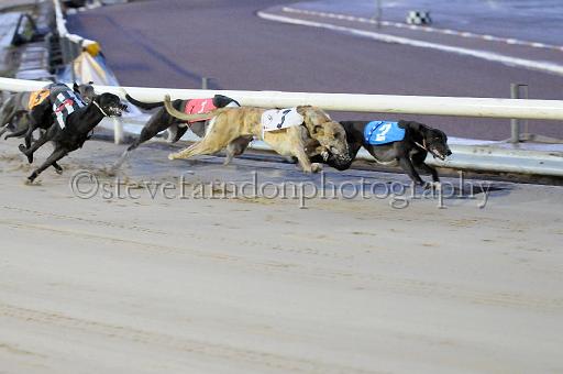 mayaction_415.JPG - (C)S.FARNDON
