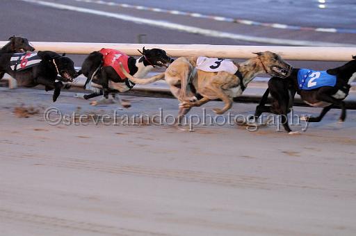 mayaction_416.JPG - (C)S.FARNDON