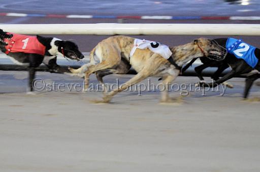 mayaction_417.JPG - (C)S.FARNDON