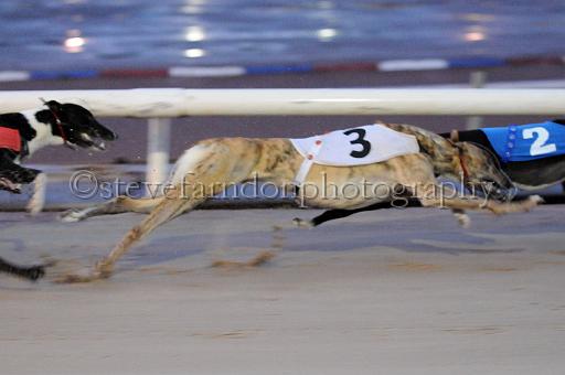 mayaction_418.JPG - (C)S.FARNDON