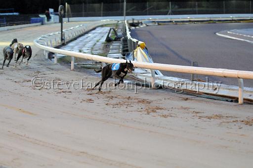 mayaction_419.JPG - (C)S.FARNDON
