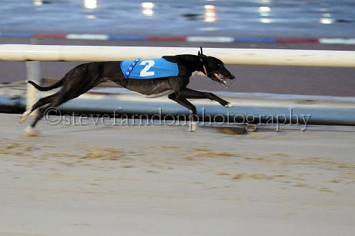mayaction_423.JPG - (C)S.FARNDON