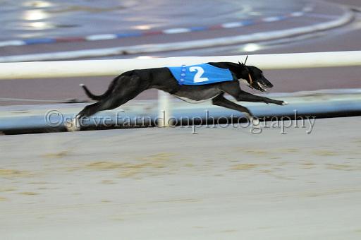 mayaction_425.JPG - (C)S.FARNDON