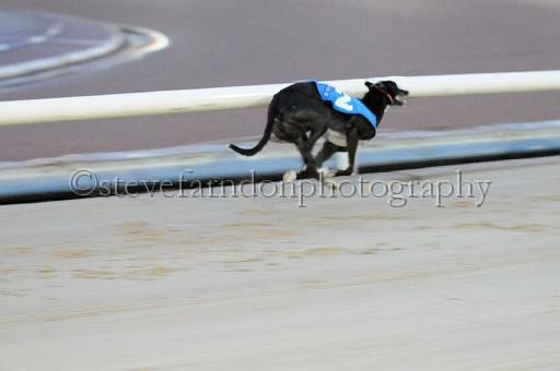 mayaction_426.JPG - (C)S.FARNDON
