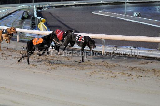 mayaction_433.JPG - (C)S.FARNDON