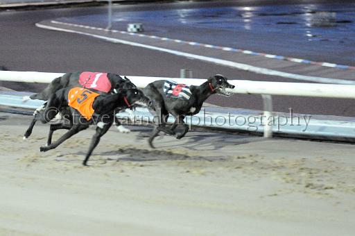 mayaction_434.JPG - (C)S.FARNDON