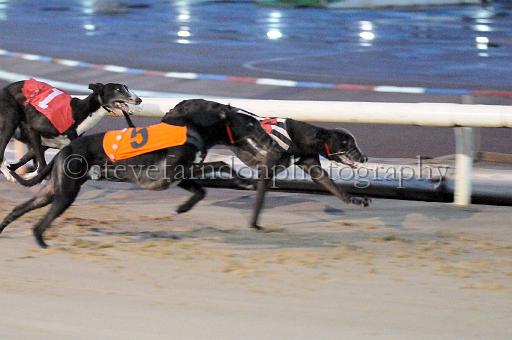 mayaction_435.JPG - (C)S.FARNDON