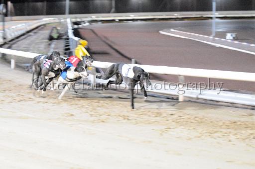 mayaction_443.JPG - (C)S.FARNDON