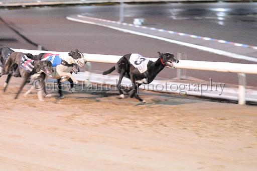 mayaction_444.JPG - (C)S.FARNDON