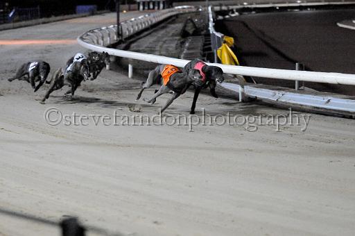 mayaction_448.JPG - (C)S.FARNDON