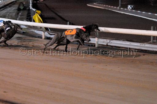 mayaction_449.JPG - (C)S.FARNDON