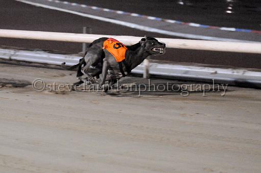 mayaction_450.JPG - (C)S.FARNDON