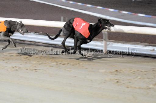 mayaction_454.JPG - (C)S.FARNDON
