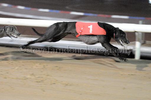 mayaction_455.JPG - (C)S.FARNDON