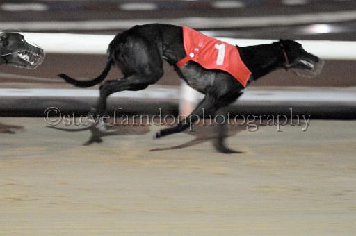 mayaction_457.JPG - (C)S.FARNDON