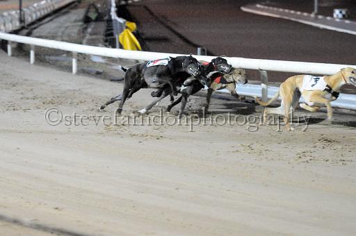 mayaction_458.JPG - (C)S.FARNDON