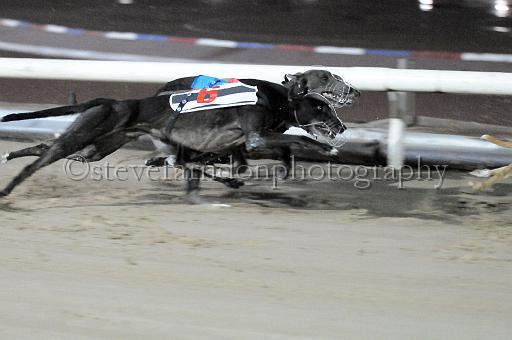 mayaction_460.JPG - (C)S.FARNDON