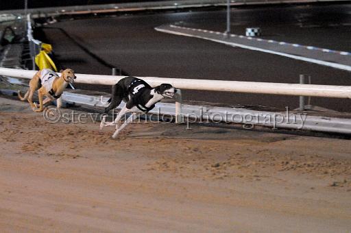 mayaction_462.JPG - (C)S.FARNDON