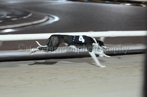 mayaction_466.JPG - (C)S.FARNDON