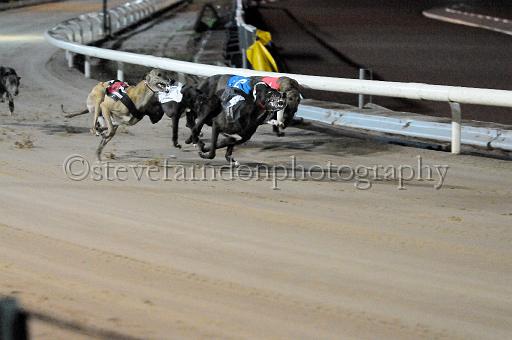 mayaction_467.JPG - (C)S.FARNDON