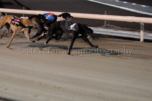 mayaction_468.JPG - (C)S.FARNDON