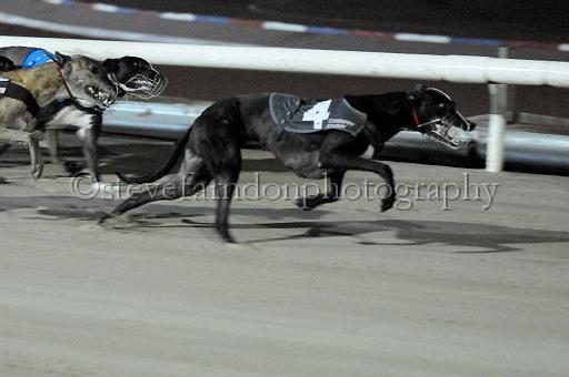 mayaction_469.JPG - (C)S.FARNDON