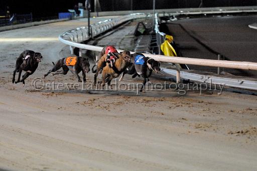 mayaction_471.JPG - (C)S.FARNDON