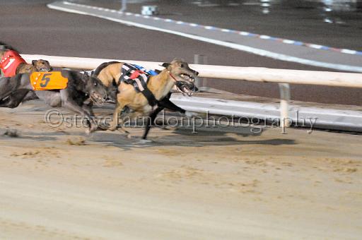 mayaction_473.JPG - (C)S.FARNDON