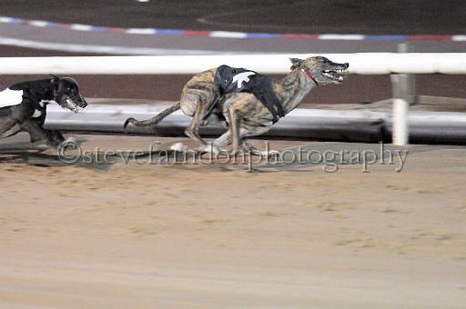 mayaction_480.JPG - (C)S.FARNDON