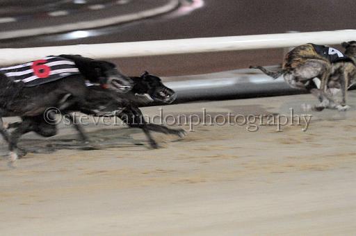 mayaction_483.JPG - (C)S.FARNDON