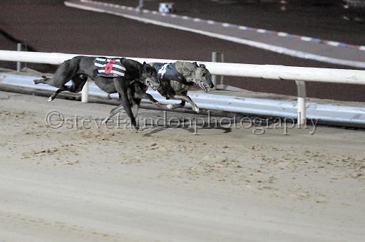 mayaction_487.JPG - (C)S.FARNDON