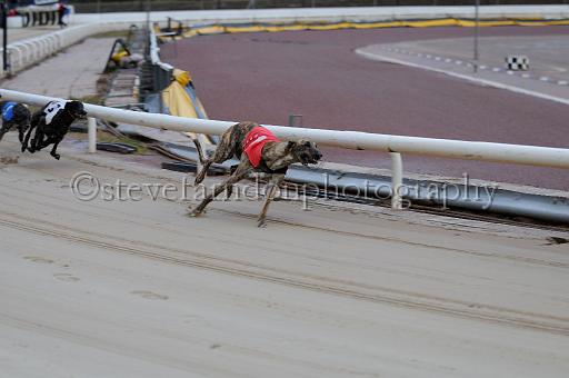 mayaction_491.JPG - (C)S.FARNDON