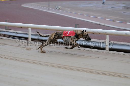 mayaction_492.JPG - (C)S.FARNDON