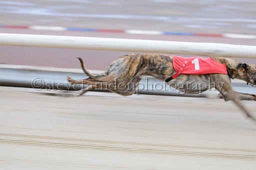 mayaction_494.JPG - (C)S.FARNDON